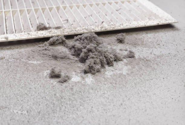 Best Home Air Vent Cleaning  in Schererville, IN